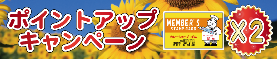 ポイントアップ08